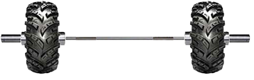The Gym & Tanline Studio